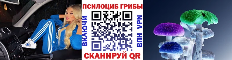 Псилоцибиновые грибы Cubensis  магазин  наркотиков  Никольское 